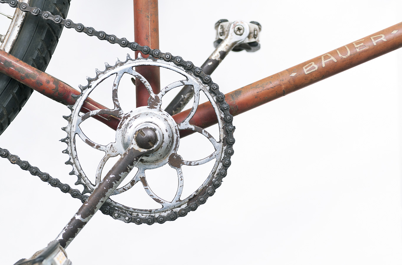 sebs-bikeshop: räder, sortiment, service: zwischen lichtenbergplatz und küchengarten in linden-mitte